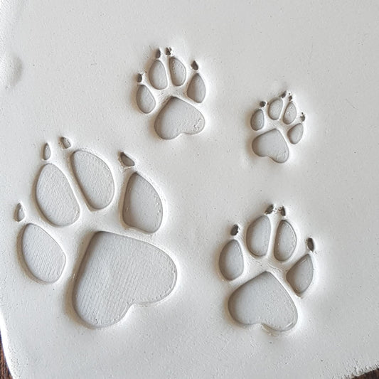 Dog Paw Stamp Set (Set of 4)