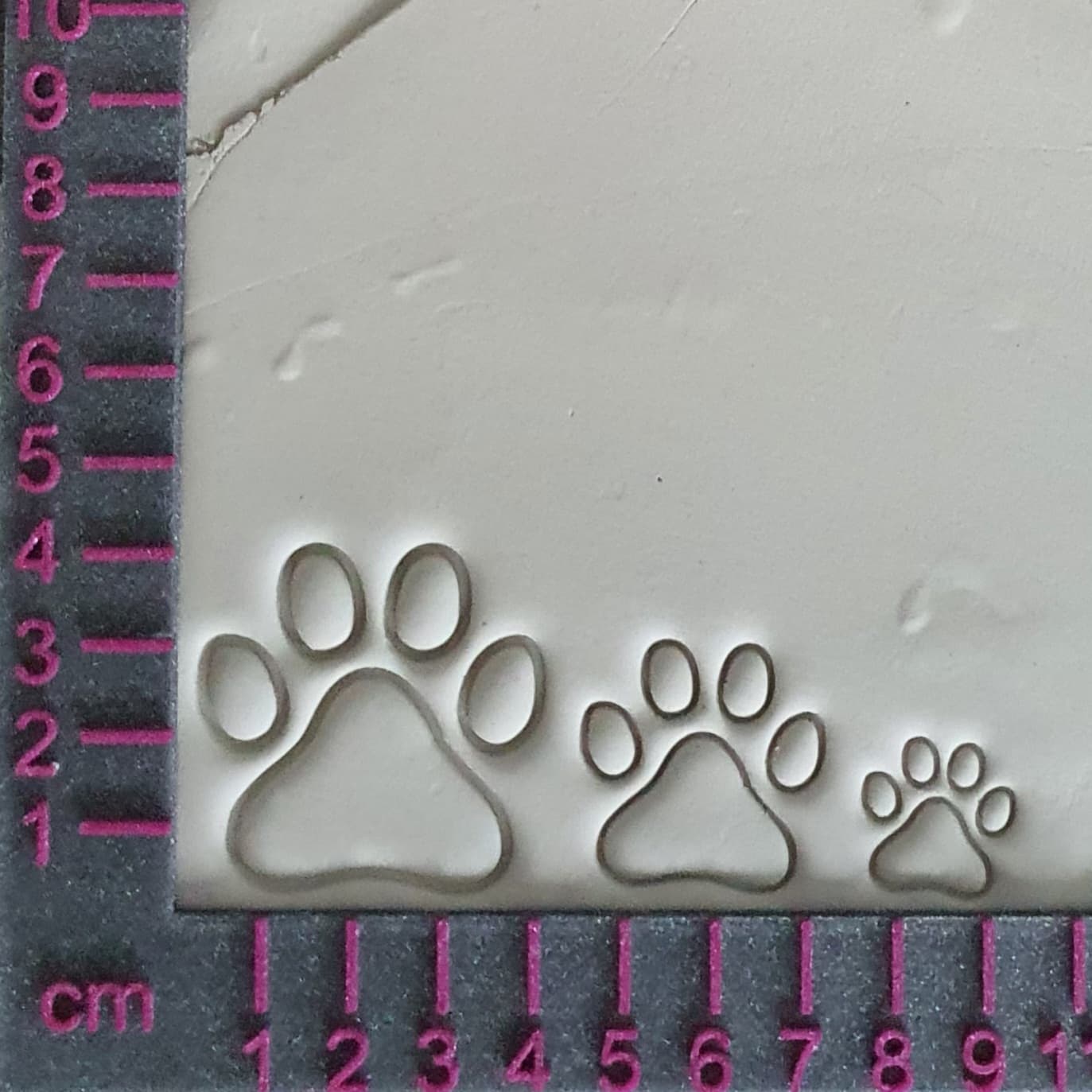 Set of 3 Cat's Paw Stamp Set